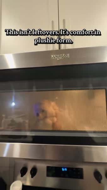 Warmies hedgehog plush